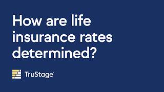 How are life insurance rates determined?