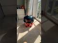 Mint Condition 1994 Henry #henryhoover #numatic