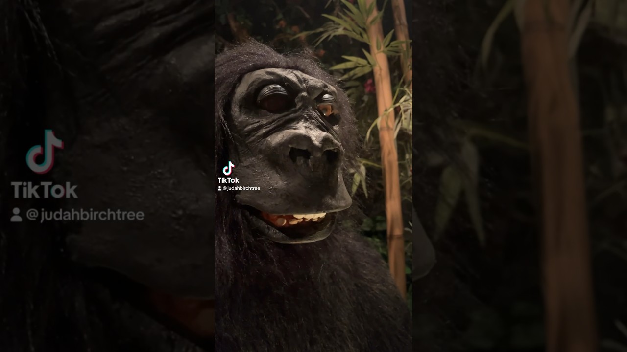 Five Nights At Rainforest Cafe