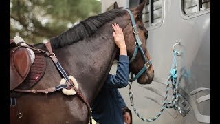 How I tack up quickly for a show jumping clinic