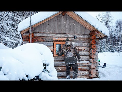 Видео: ДОБЫЛ МЯСО НА ГОД. ЗАНОЧЕВАЛ В ИЗБЕ ИЗ СУХАРНИКА. ЛОСЬ ЧУТЬ НЕ ЗАТОПТАЛ СОБАКУ.