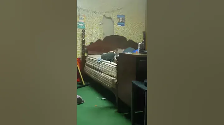 How A Tweaker Puts Themselves To Bed