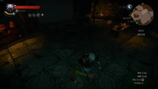 The Witcher 3 weird bug