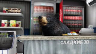 Продуктовый Медведь - Сладкие #18