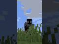 Minecraft The villagers here hate their bro... #shorts