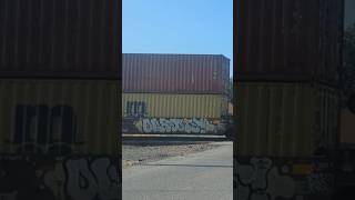 OLROOTS x RACK Tagged Freight | Freight Train Graffiti Benching #graffiti #trains #shorts