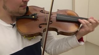 Lost during the Holocaust, historic violin plays again