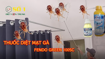 THUỐC DIỆT MẠT GÀ FENDO GREEN 100SC | CÁCH DIỆT MẠT GÀ | DIỆT MẠT GÀ