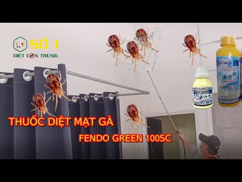 Video THUỐC DIỆT MẠT GÀ FENDO GREEN 100SC | CÁCH DIỆT MẠT GÀ... - youtube