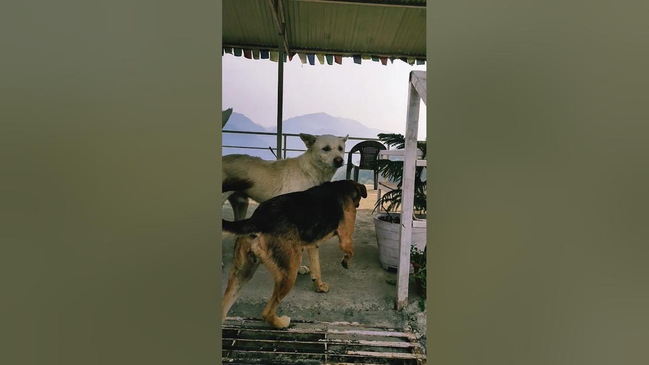 Alag Aasmaan Anuv Jain Nuwakot Butwal Nepal nature shorts 