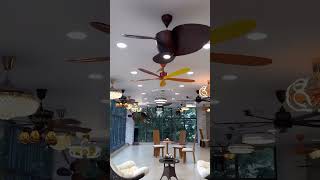 Indias Largest Luxury Designer Fan Showroom
