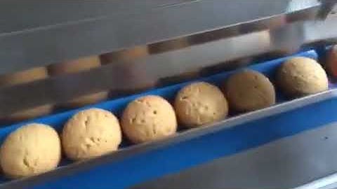 Automatic Biscuit Feeding System with Biscuit Packing machine