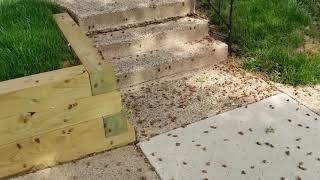 Brood X Cicadas 2021 – Loud 17-Year Cicada Sounds \u0026 Swarm in Reston, VA | 4K