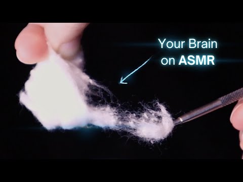 Your Brain on ASMR