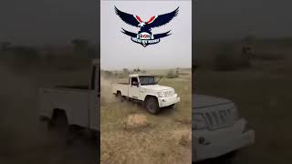 dhariya Group Mahabar dgm cdaner