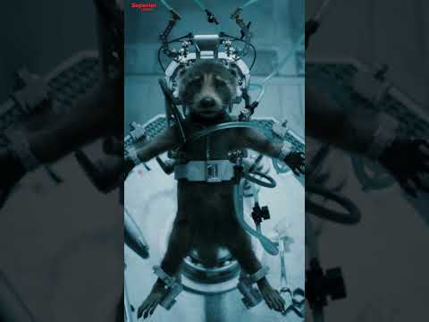 Rocket sad status