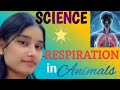 Respiration In Animal