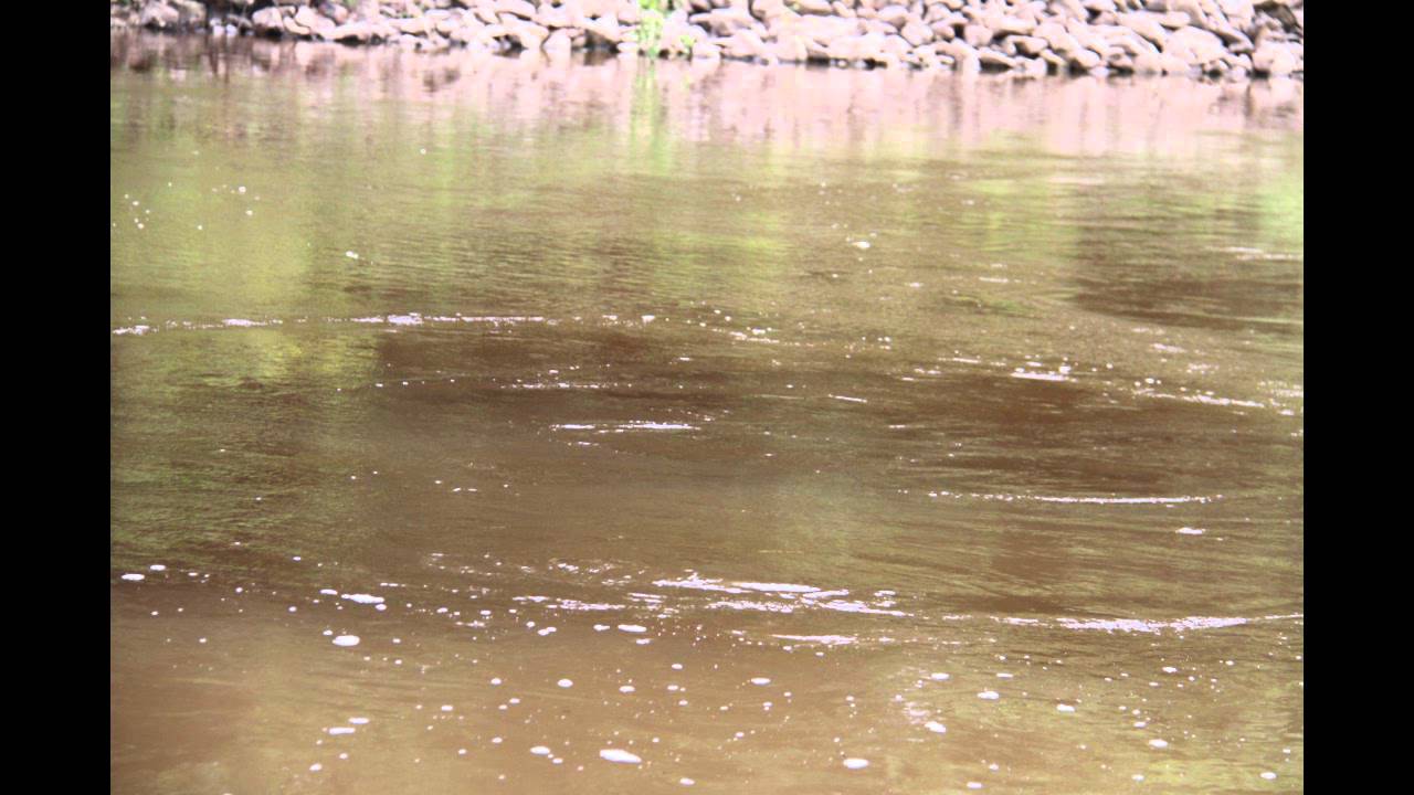 Rayonier Performance Fibers Pulp Mill in Jesup, Ga. YouTube