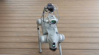 Robot Dog Methane Detection | MetScan Challenge by AIRINS