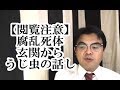【閲覧注意】第363回「腐乱死体とウジ虫。玄関に大量のウジ虫がいた話。」葬儀・葬式ｃｈ