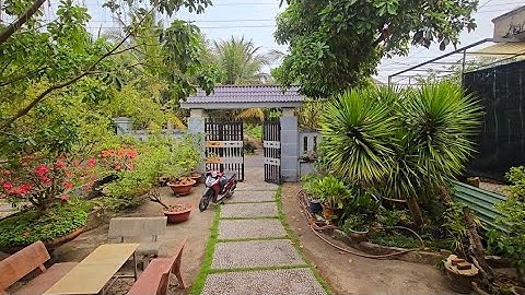 Tập 3502 : Kẹt tiền ngân hàng bán gấp nhà vườn mái thái đẹp ở Tp mỹ tho bước vào thích mê