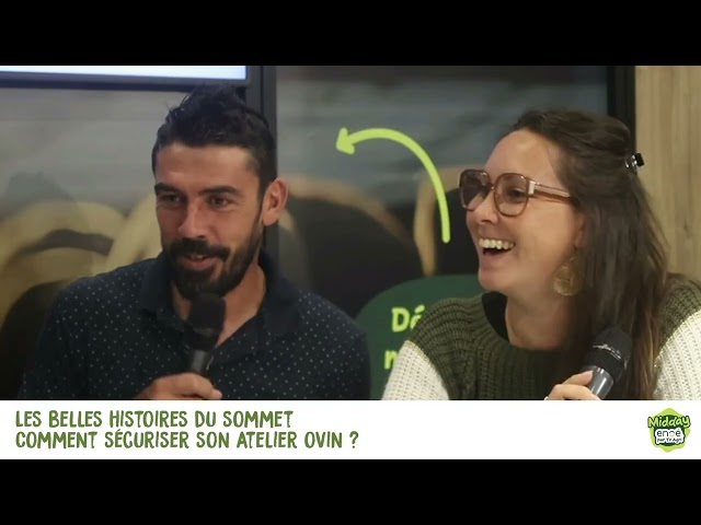 Le Mid'Day : Comment sécuriser son atelier ovin ?