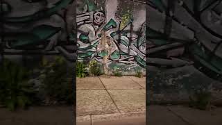Chicago has a gang and a drug problem 850pm May 4th 2026