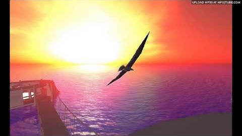Flying East