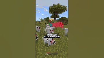 🐺Minecraft Wolf Pack Mechanics🦴