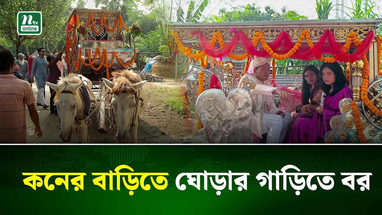 নওগাঁয় ঘোড়ার গাড়িতে বরের আগমন, গ্রামে উৎসবের আনন্দ | Wedding Story | NTV News
