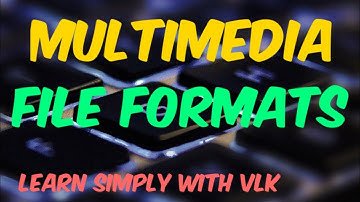 Multimedia File Formats | Chapter 1 - Multimedia |1.4 | XII STD CA #TNSCERT|