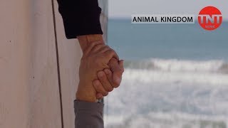 Animal Kingdom | Krasse Stunts | TNT Serie