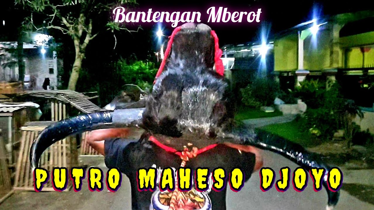 Mberot Mode Ngeloss Tanpa Pagar - Bantengan PUTRO MAHESO DJOYO Live Sumber kradenan Pakis