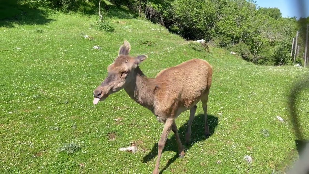 Trekking 4K Anello Cervara di Roma