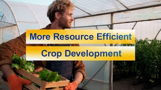 What if your next beer could help farmers grow more rice — with less water ?