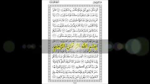 Sheikh Abu Bakr Moumeni Salat Tarawih 15 Ramadan 1430 سورة المؤمنون و النور