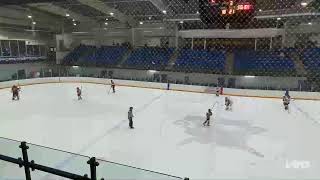Famous Vaughan Panthers U13 AA vs West Niagara Profile