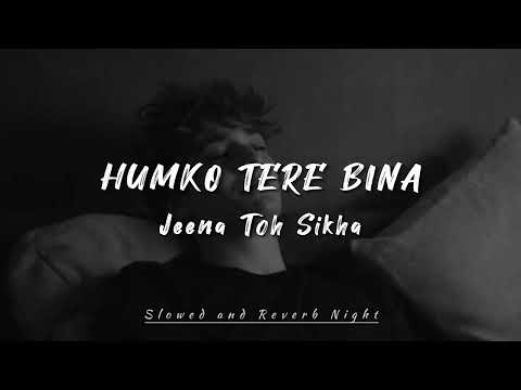 Humko Tere Bina Jeena Toh Sikha 💔 | LoFi Song ✨ | Chale Jaana Phir | Slowed and Reverb Song..