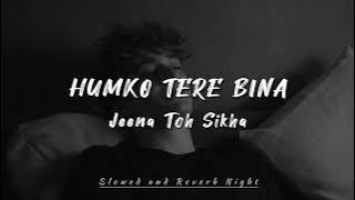 Humko Tere Bina Jeena Toh Sikha 💔 | LoFi Song ✨ | Chale Jaana Phir | Slowed and Reverb Song..