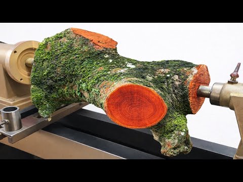 @Rotating Wood Horror | Turning a piece of wood covered in moss