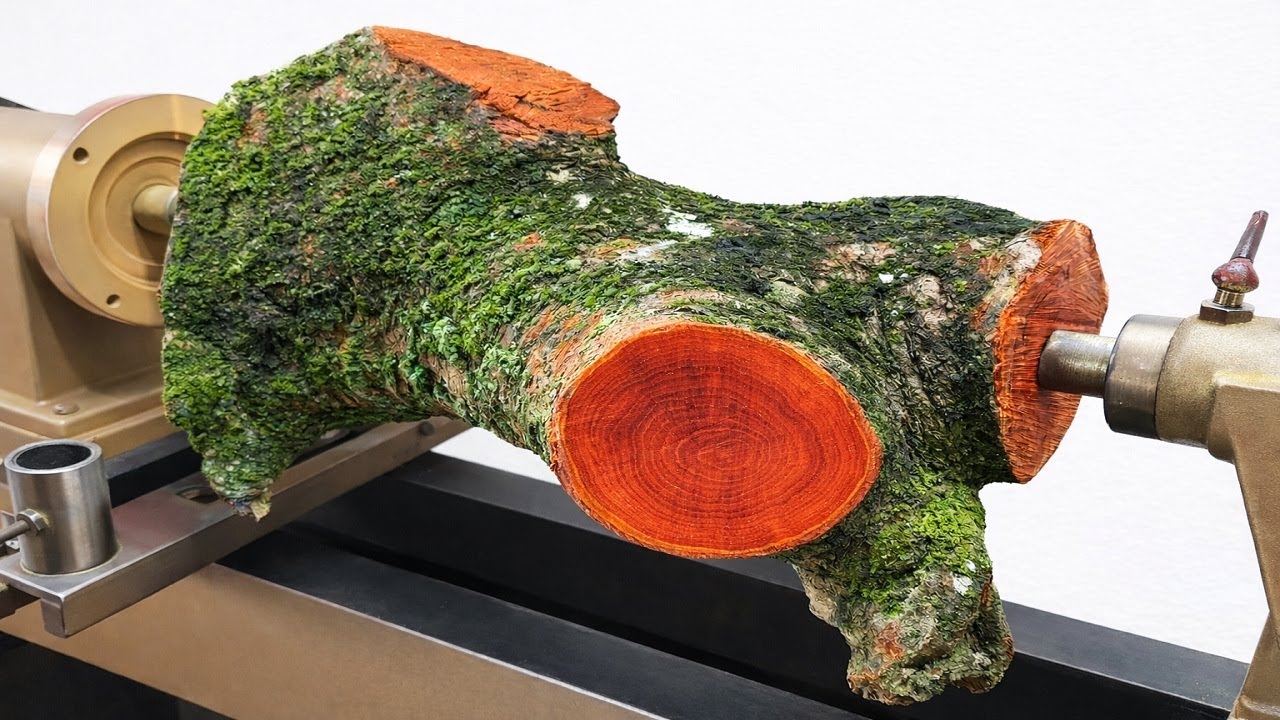 @Rotating Wood Horror | Turning a piece of wood covered in moss