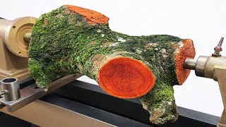 @Rotating Wood Horror | Turning a piece of wood covered in moss