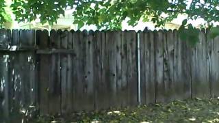 28-Untitled.AVI