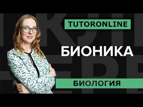 Бионика | История Эйфелевой башни и других изобретений.