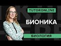 Бионика | История Эйфелевой башни и других изобретений.