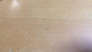 激レア プラレール EF65 1068 開封