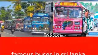 sri lankan famous buses screenshot 2