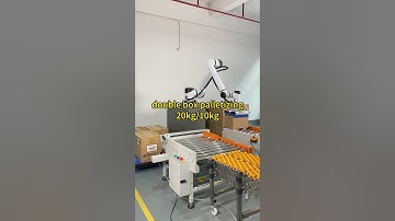 double box palletizer#robot #cobot #palletizer