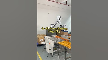 double box palletizer#robot #cobot #palletizer