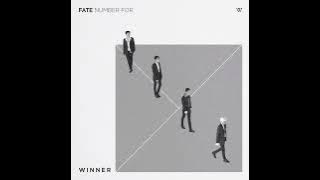 Winner - Really Really (Official Instrumental)